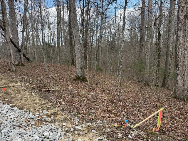 Land for sale in Monticello, Kentucky