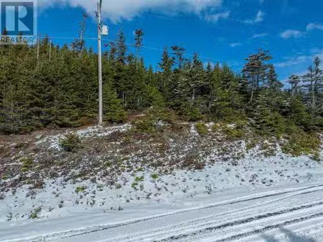 House for sale in Salmonier, Newfoundland And Labrador