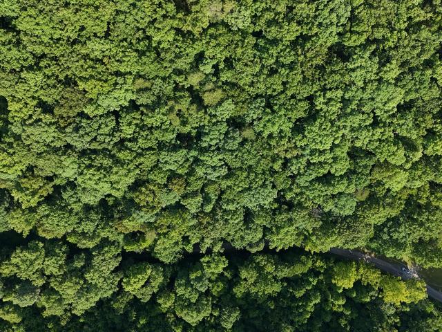 Land for sale in Tennessee