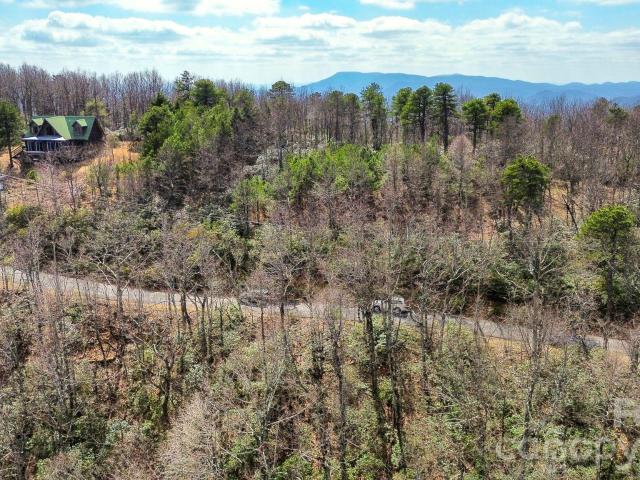 Land for sale in Columbus, North Carolina