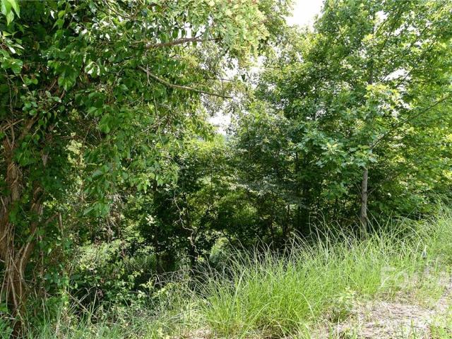 Land for sale in Marshall, North Carolina