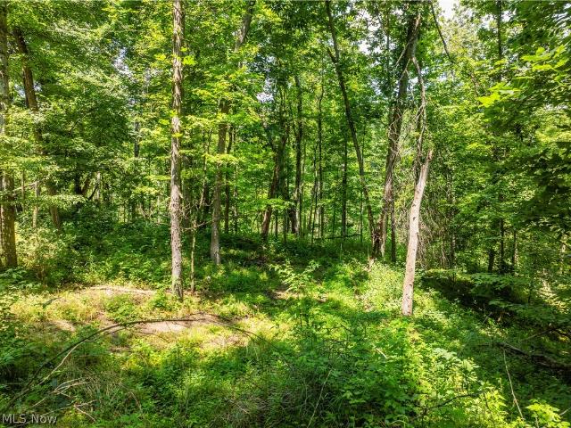 Land for sale in Somerset, Ohio