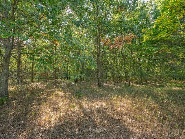 Land for sale in Michigan