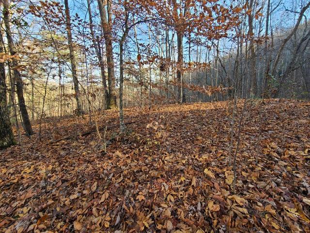 Land for sale in Tennessee