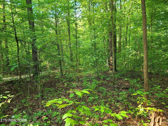 Land for sale in Tennessee