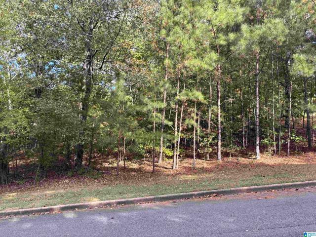 Land for sale in Sumiton, Alabama