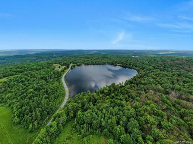 Land for sale in Roscoe, New York