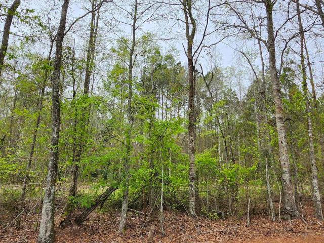 Land for sale in Walker, Louisiana