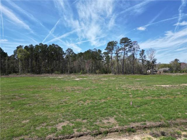 Land for sale in Independence, Louisiana