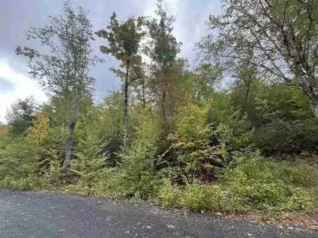 House for sale in Parkdale, Nova Scotia