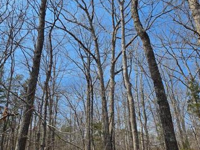 Land for sale in Virginia