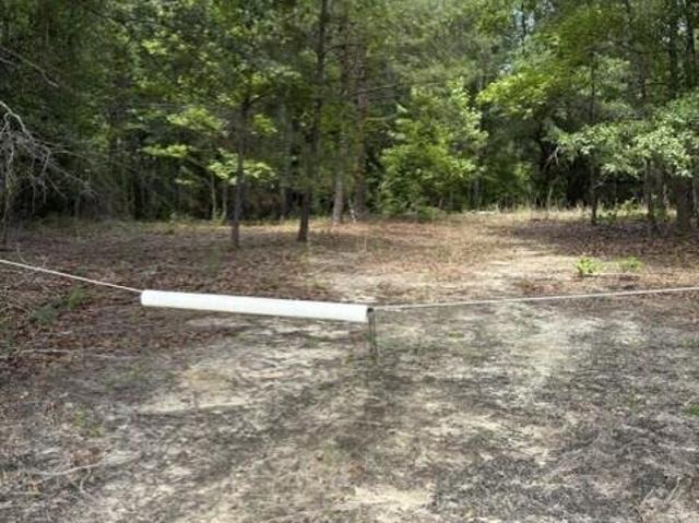 Land for sale in Elko, South Carolina