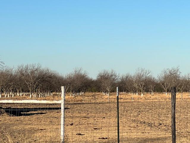 Land for sale in Quemado, Texas