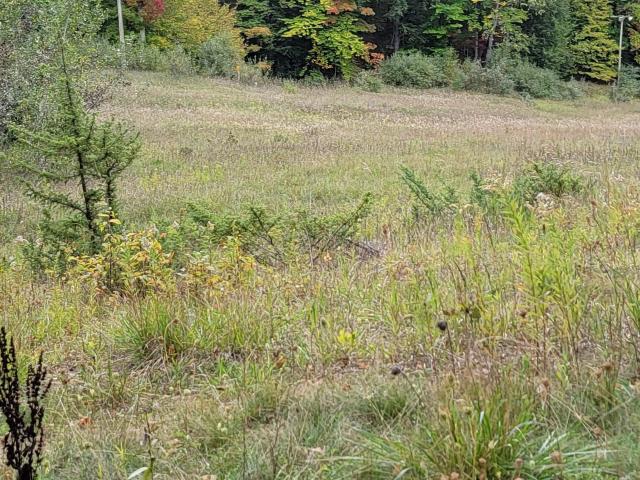 Land for sale in Michigan