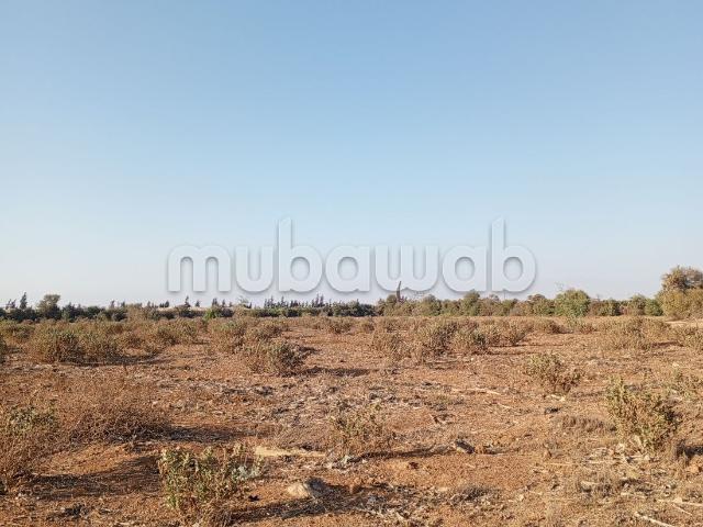 Terrain vente à Ouled, Oued ed Dahab-Lagouira