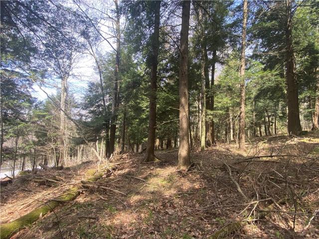 Land for sale in Hartwick, New York