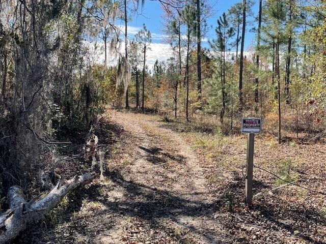 Land for sale in Buena Vista, Georgia