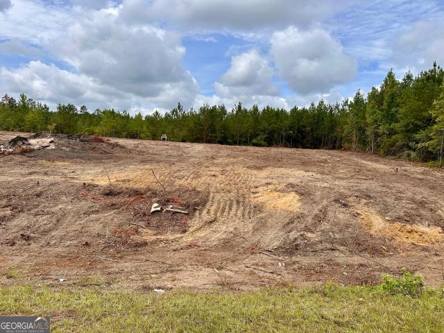 Land for sale in Dublin, Georgia