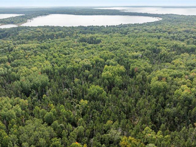 Land for sale in Minnesota