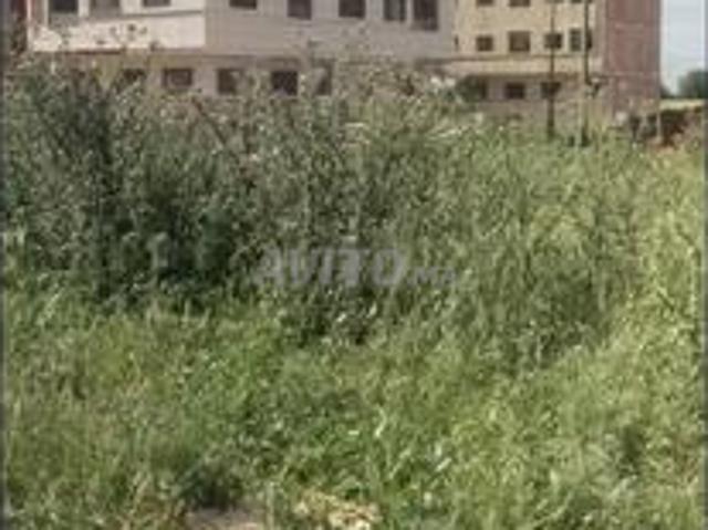 Propriété vente à Meknès
