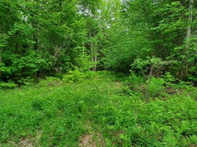 Land for sale in Andover, Maine