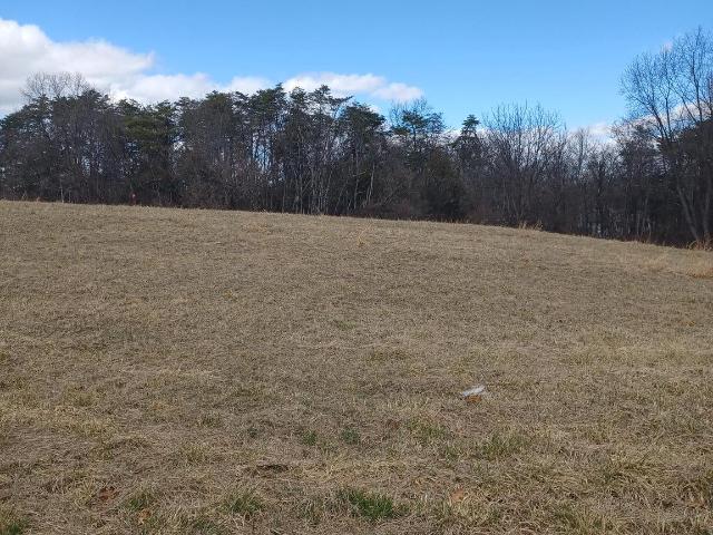 Land for sale in Bunker Hill, West Virginia
