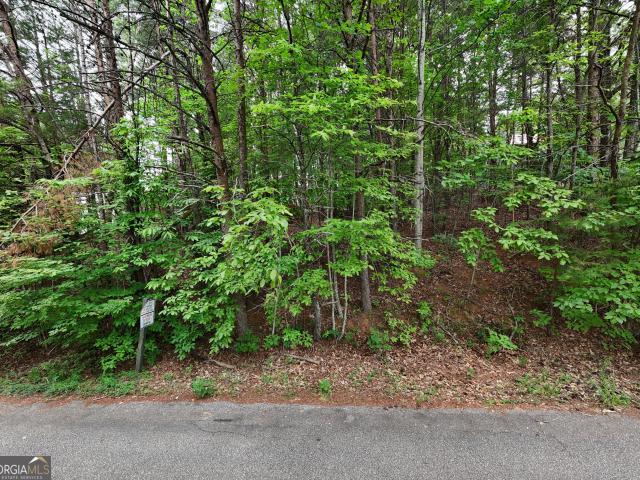 Land for sale in White County, Georgia