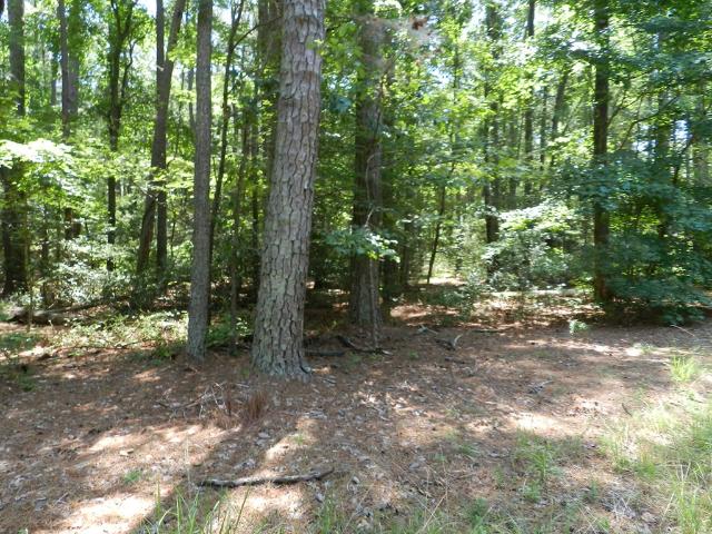 Land for sale in Virginia