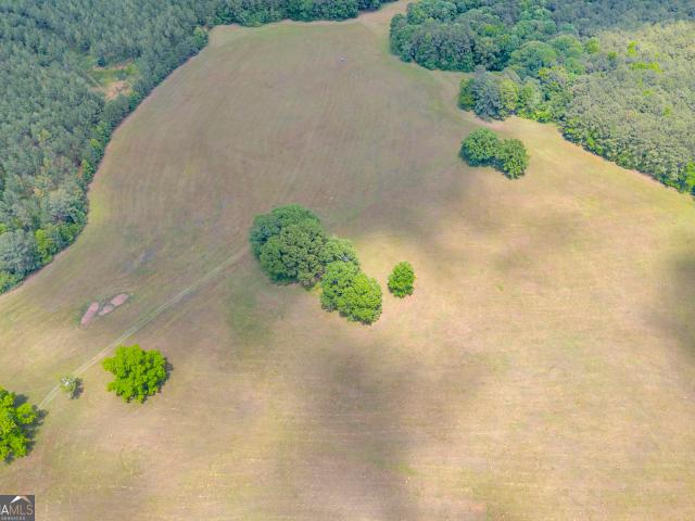 Land for sale in Monticello, Georgia