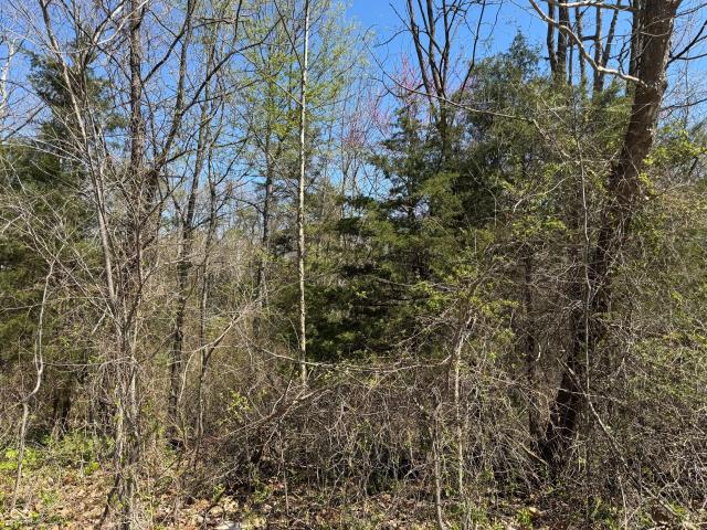 Land for sale in Spencer, Indiana