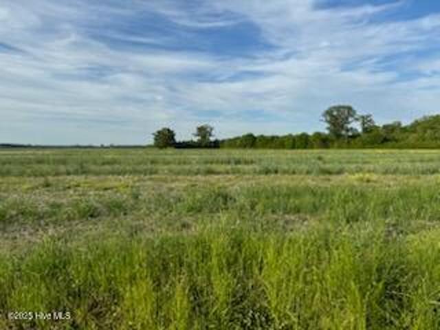 Property for sale in South Mills, North Carolina