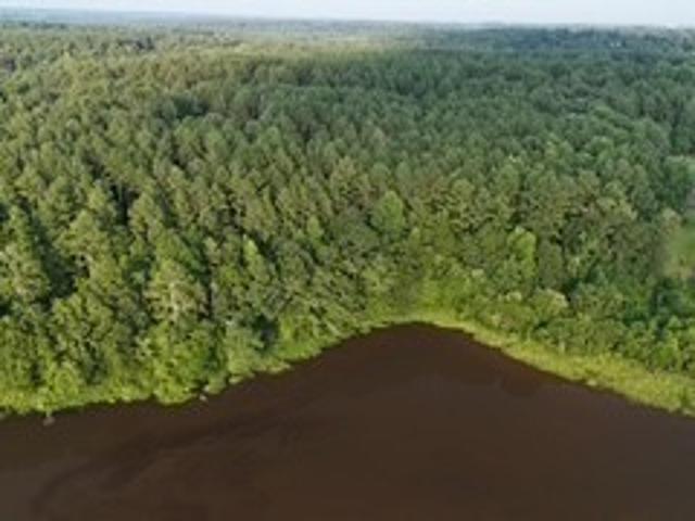 Land for sale in Colbert, Georgia