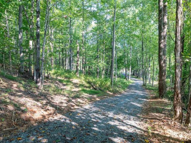 Land for sale in Afton, Nelson County