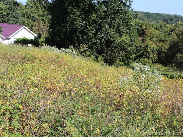 Land for sale in Gravois Mills, Missouri
