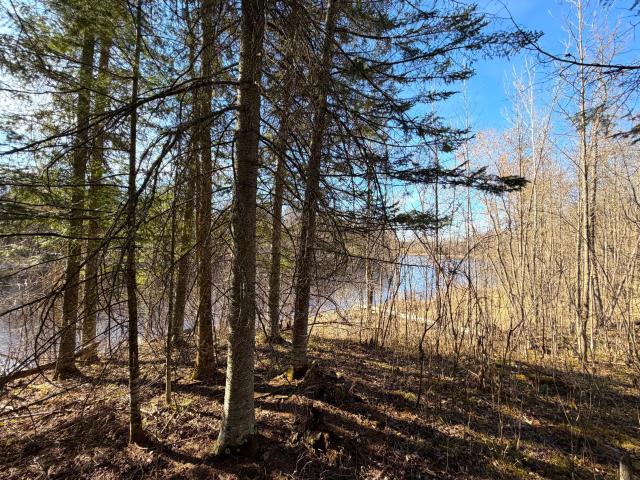 Land for sale in Littlefork, Minnesota