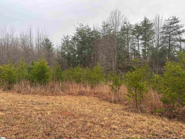 Land for sale in Landrum, South Carolina