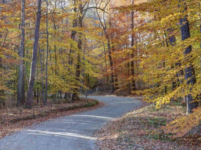 Land for sale in Virginia