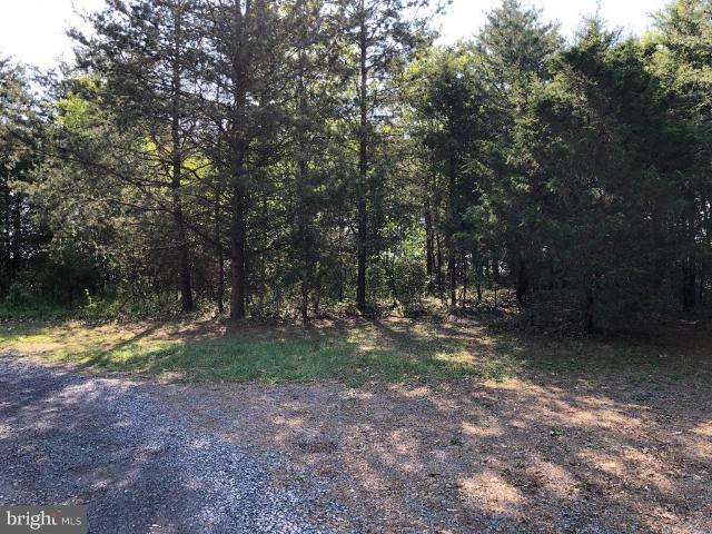 Land for sale in Bunker Hill, West Virginia