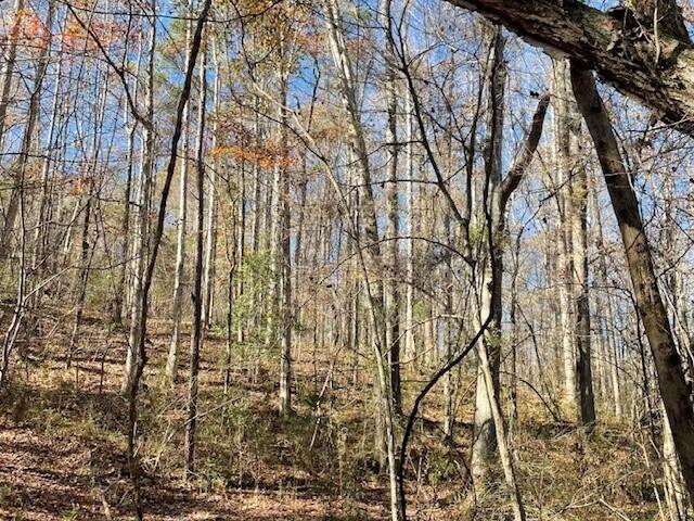Land for sale in Buena Vista, Georgia