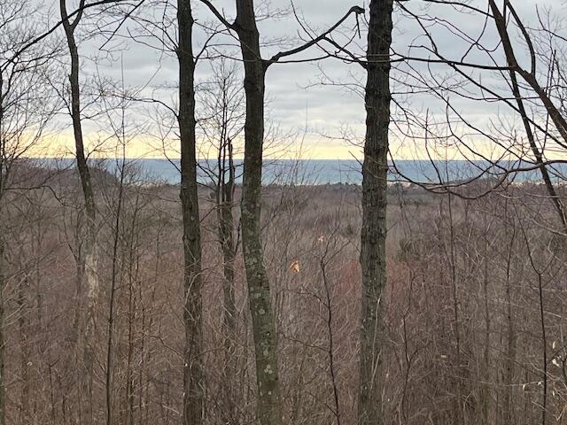 Land for sale in Michigan