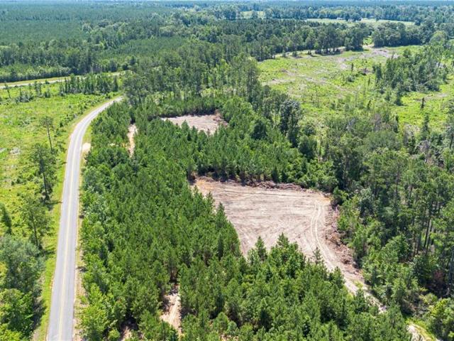 Land for sale in Pitkin, Vernon Parish