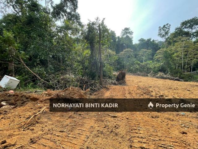 Property for sale in Pahang