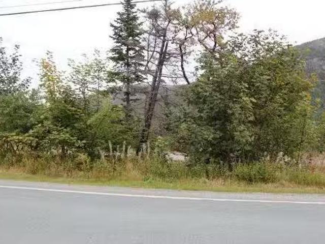 House for sale in Bauline, Newfoundland And Labrador