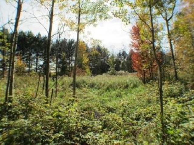 Land for sale in South Glengarry, Ontario