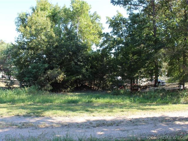 Land for sale in Gravois Mills, Missouri