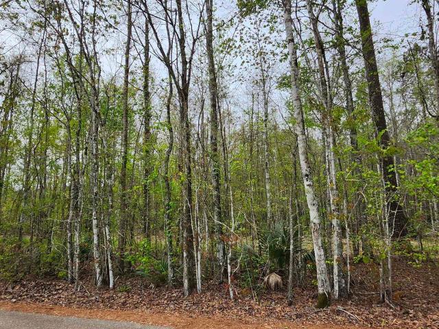 Land for sale in Walker, Louisiana