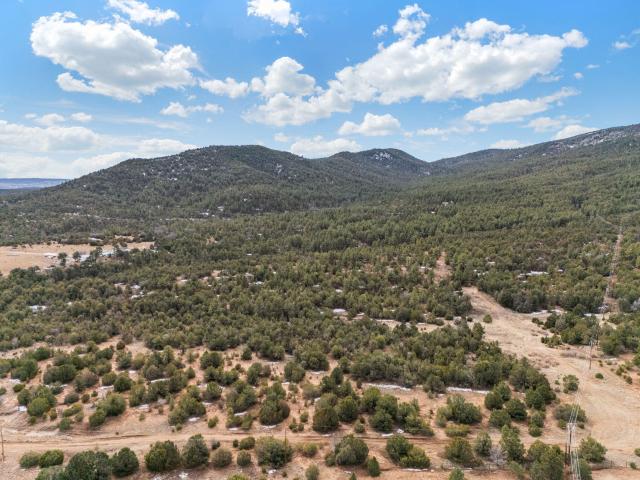 Land for sale in La Madera, New Mexico