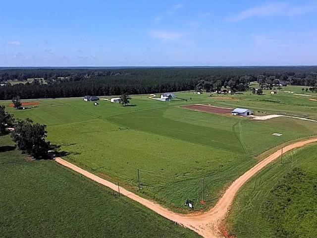 Land for sale in Amite, Louisiana