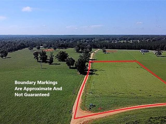 Land for sale in Amite, Louisiana