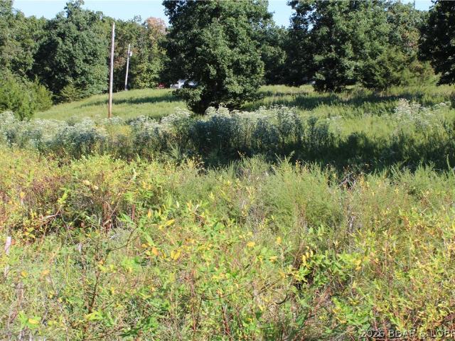 Land for sale in Gravois Mills, Missouri